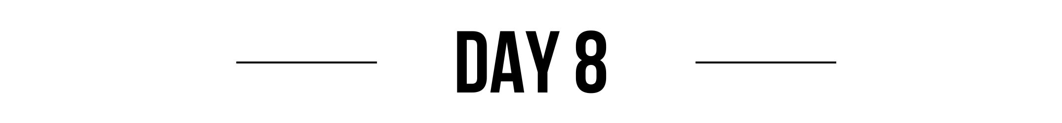 Day 8