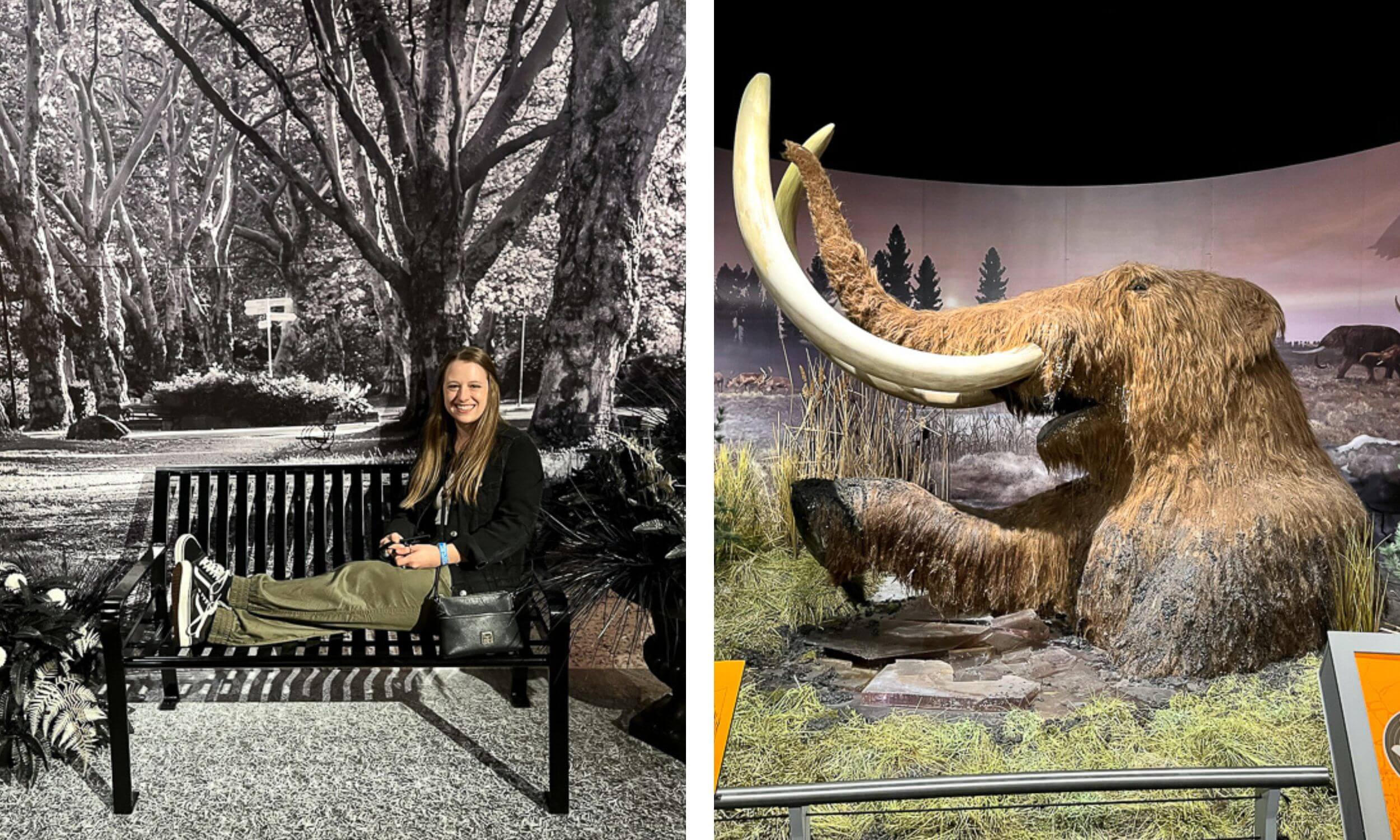 indiana state museum review