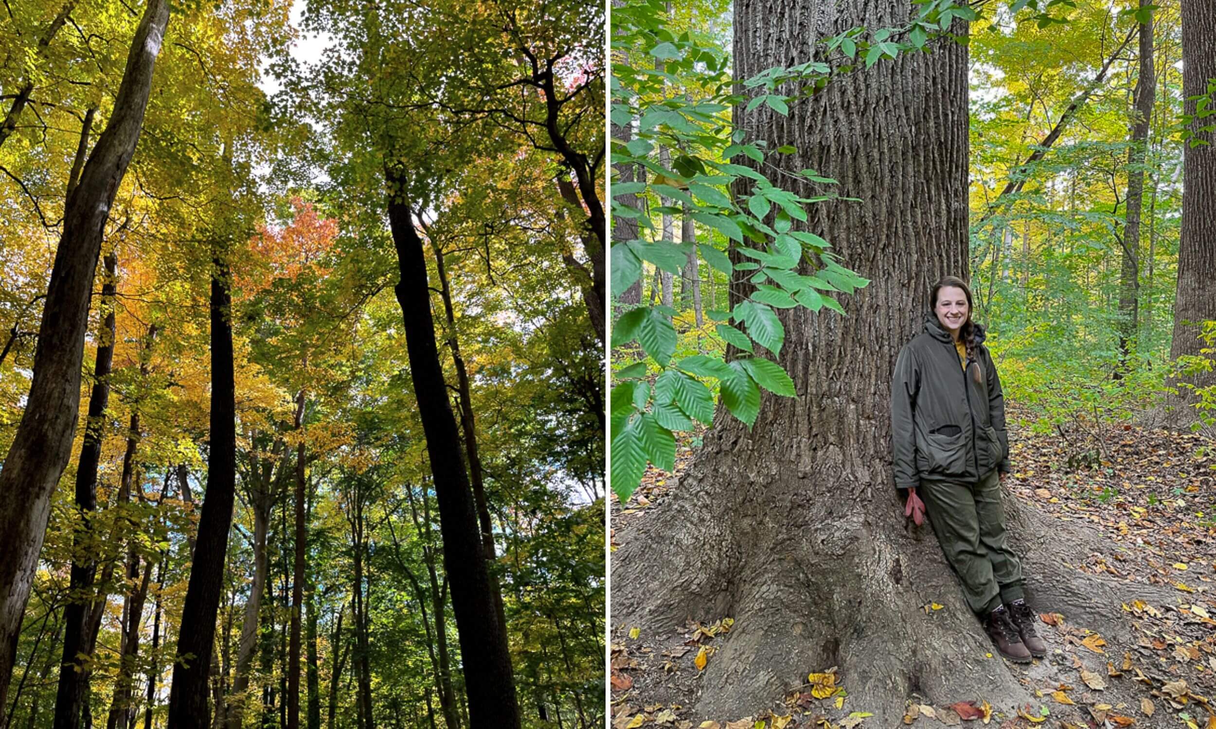 fall turkey run state park