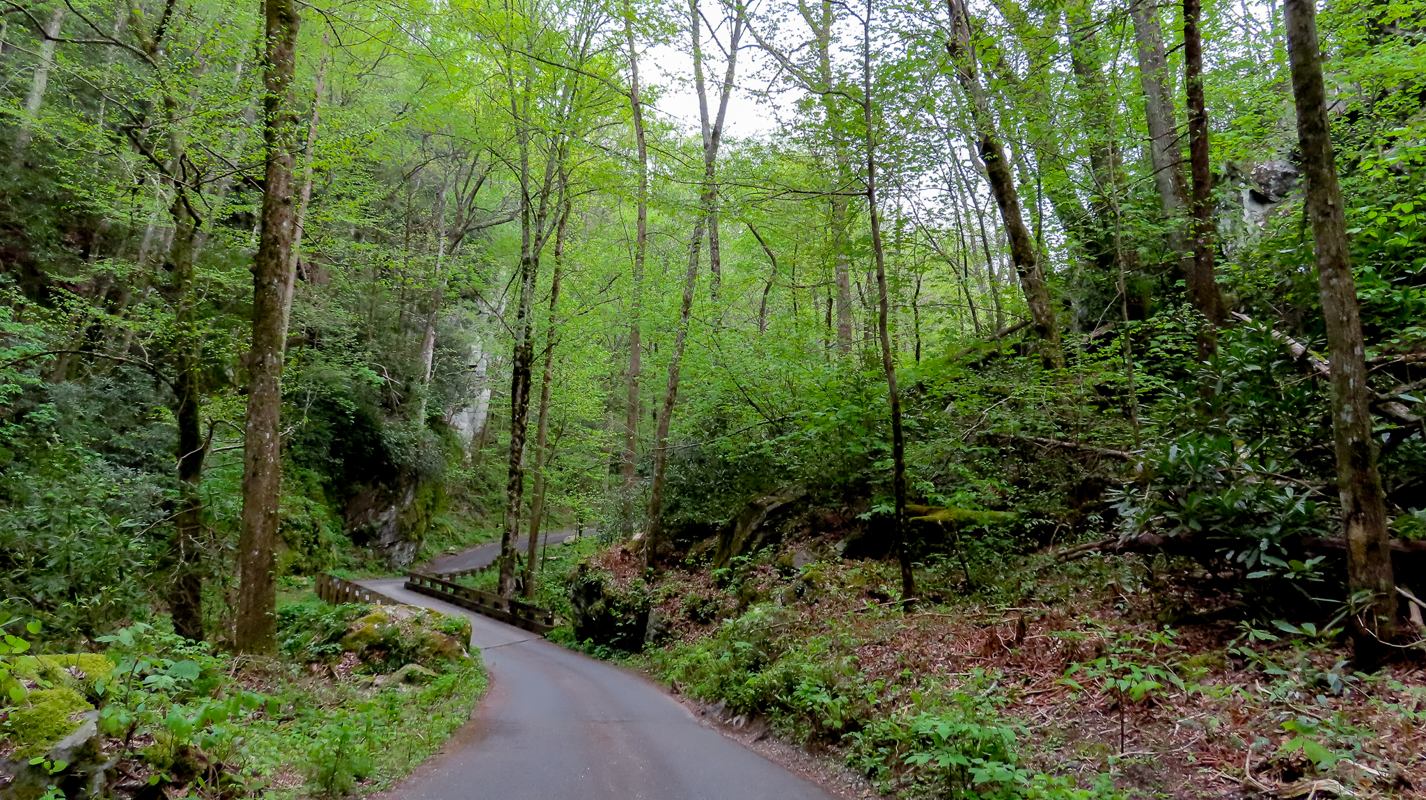 9 Day Tennessee Trip Itinerary