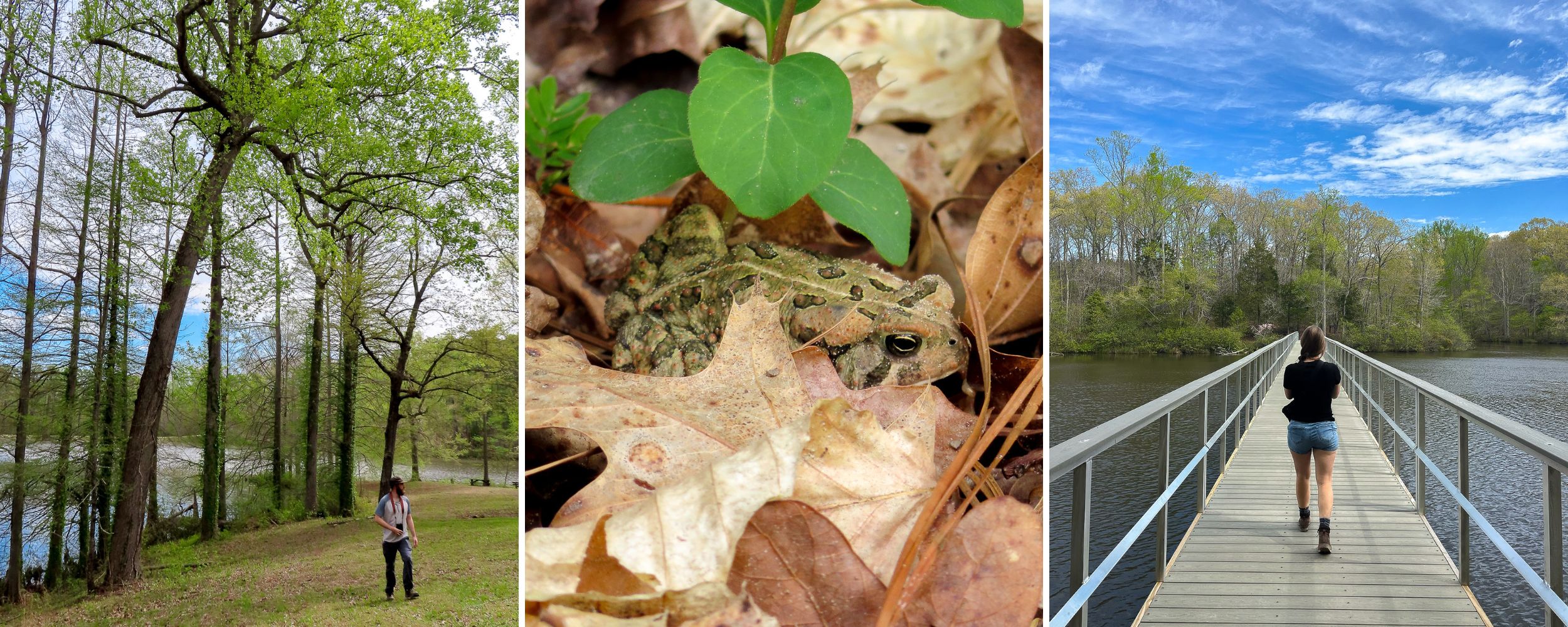 Natchez Trace State Park in Tennessee