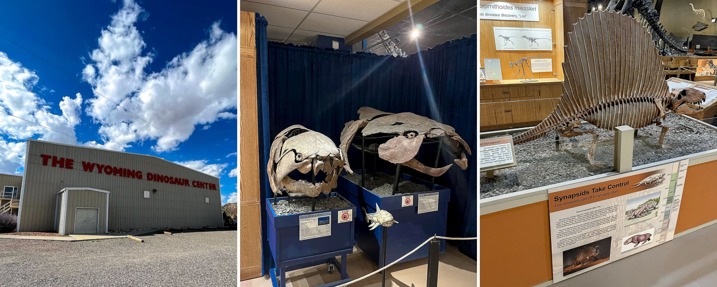 Wyoming Dinosaur Center
