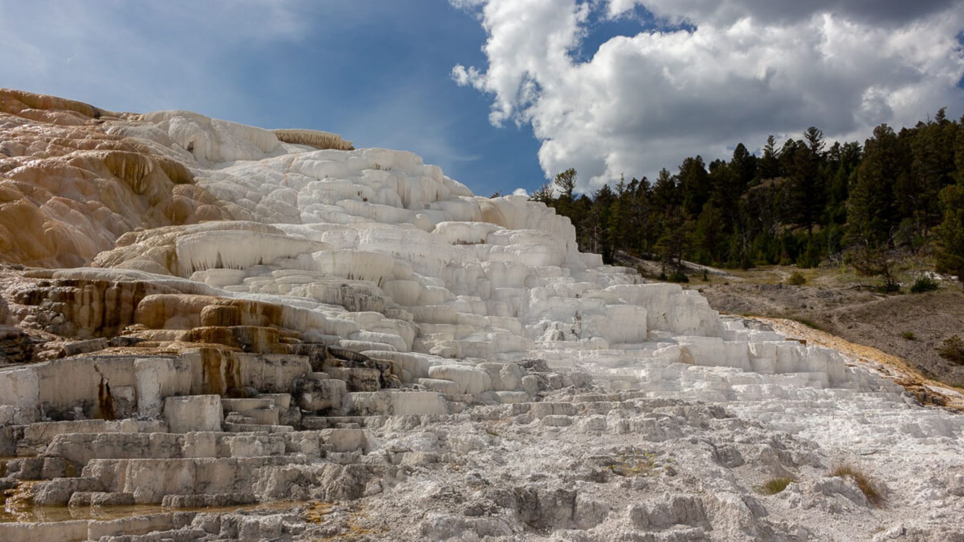 Mammoth Hot Springs