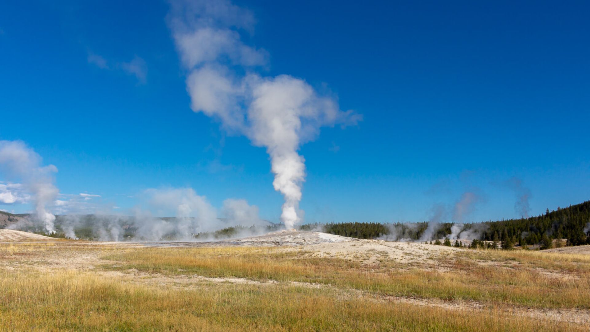 Old Faithful Erupting