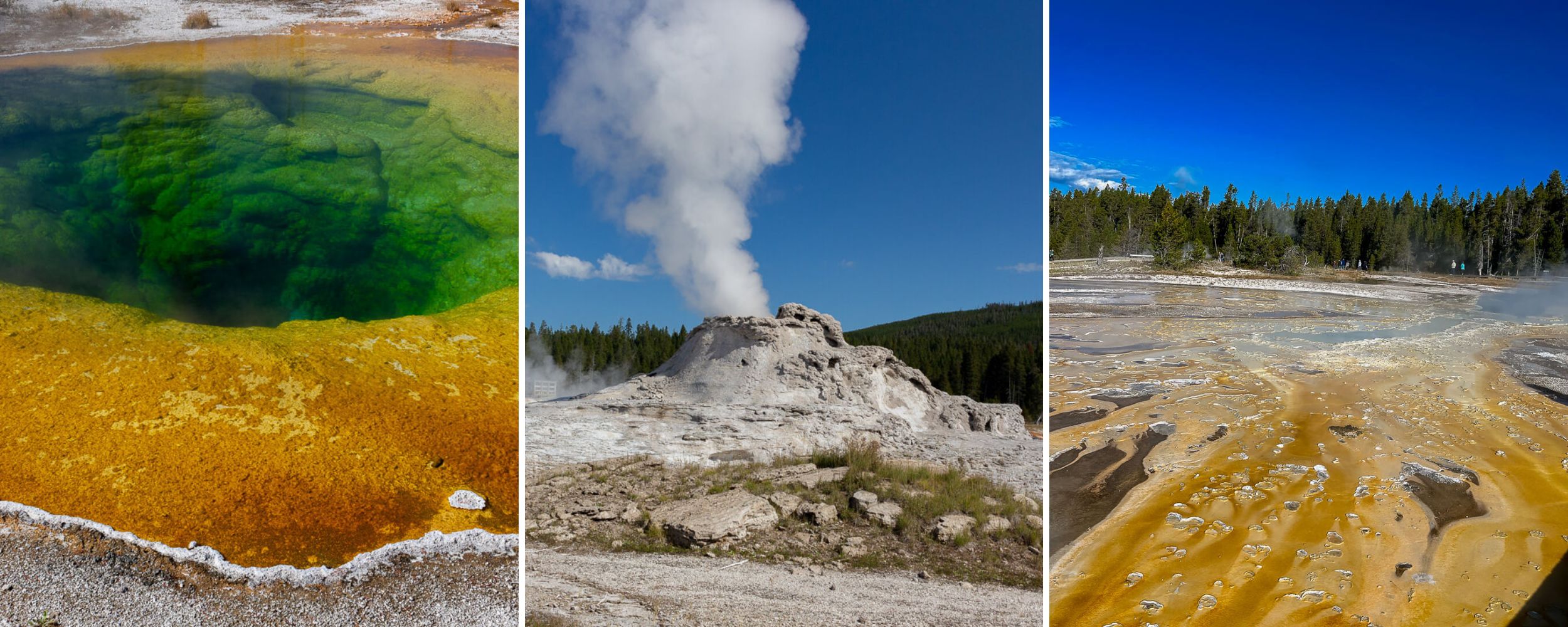 Upper Geyser Basin Trail in Yellowstone